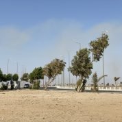 Sulaiman a a, 66 سنةJeddah, السعودية