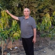 سعد العبد, 63 سنةدمنهور, مصر