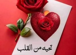 مجنونه عاقله, 37 سنة, امرأة

, Kenitra, المغرب