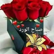 Nour16, 39 سنةAlgiers, الجزائر