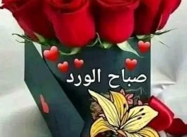 Nour16, 39 سنة, امرأة

, Algiers, الجزائر