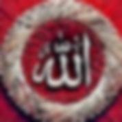 mhmdgmhh111, 51 سنةدسوق, مصر