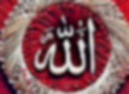 mhmdgmhh111, 51 سنة, رجل, دسوق, مصر