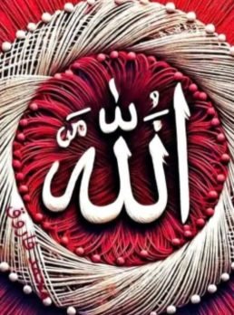 mhmdgmhh111, 51 سنة, دسوق, مصر