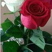رفيقة, 59 سنةRades, تونس