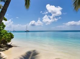 محمد, 48 سنة, رجل, Sanaa, اليمن