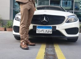 Ahmed Hassan, 34 سنة, رجل, كفر الدوار, مصر