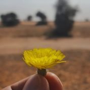 سلطان بن فهد, 32 سنةBuraydah, السعودية