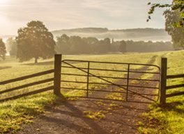 سرمد, 37 سنة, رجل, Skien, النرويج