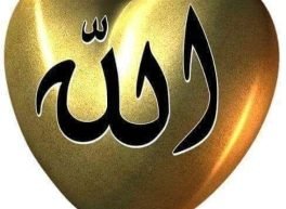 Amr, 58 سنة, رجل, الإسكندرية, مصر