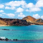 حسين Hussein, 68 سنةFort Lauderdale, الولايات المتحدة