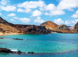 حسين Hussein, 67 سنة, رجل, Fort Lauderdale, الولايات المتحدة