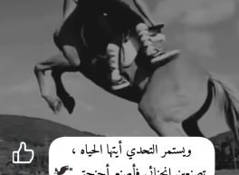 فرح, 49 سنة, امرأة

, Ain Taya, الجزائر