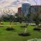 norah11, 28 سنةJeddah, السعودية