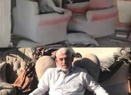 Mohamed, 38 سنة, رجل, 6 أكتوبر, مصر