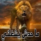 Captain Ahmed, 40 سنة, الجيزة, مصر