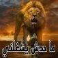 Captain Ahmed, 41 سنةالجيزة, مصر
