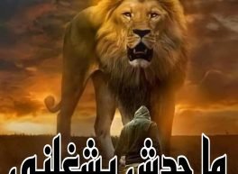 Captain Ahmed, 41 سنة, رجل, الجيزة, مصر