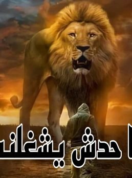 Captain Ahmed, 40 سنة, الجيزة, مصر