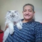 محمد, 60 سنة, Medina, السعودية