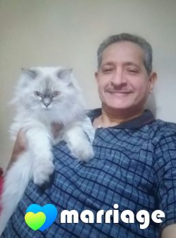 محمد, 60 سنة, Medina, السعودية