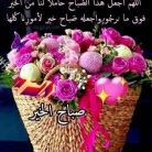 محمد, 43 سنة, الشروق, مصر
