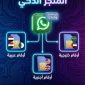 فارس, 43 سنةZinjibar, اليمن