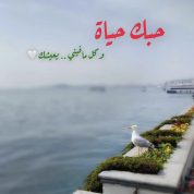 Muba74, 51 سنةAr Rayyan, قطر