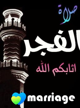 حازم, 55 سنة, 6 أكتوبر, مصر