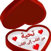 عابر سبيل ٥٥, 53 سنةمنشية ناصر, مصر