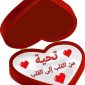 عابر سبيل ٥٥, 53 سنةمنشية ناصر, مصر